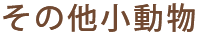 ǭ