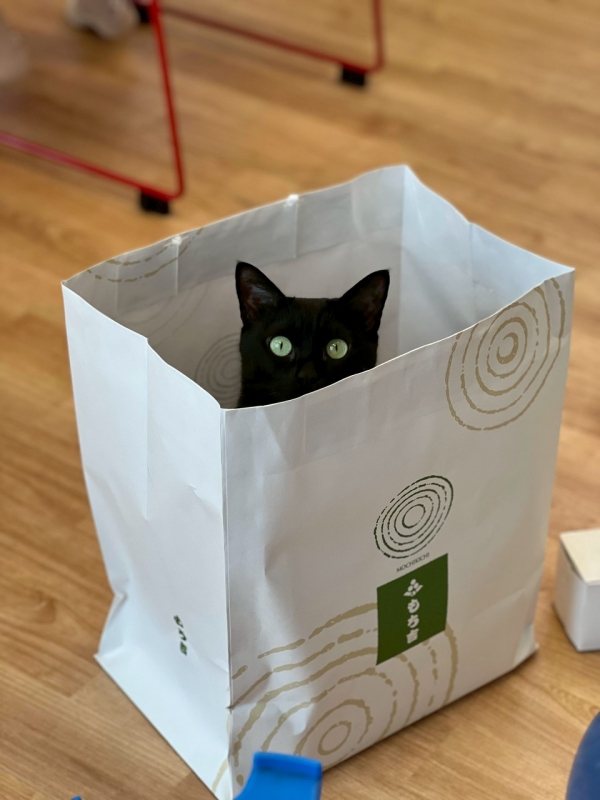 ¡Ú12·î¡Û½Ã°å»Õ½Ð¶Ðɽ¡õ¥¢¥Ë¥Þ¥ë¥¹¥¿¥Ã¥Õ¡õ¥Ë¥å¡¼¥¹¥ì¥¿¡¼¤ò¤ªÆÏ¤±¤·¤Þ¤¹¡ª